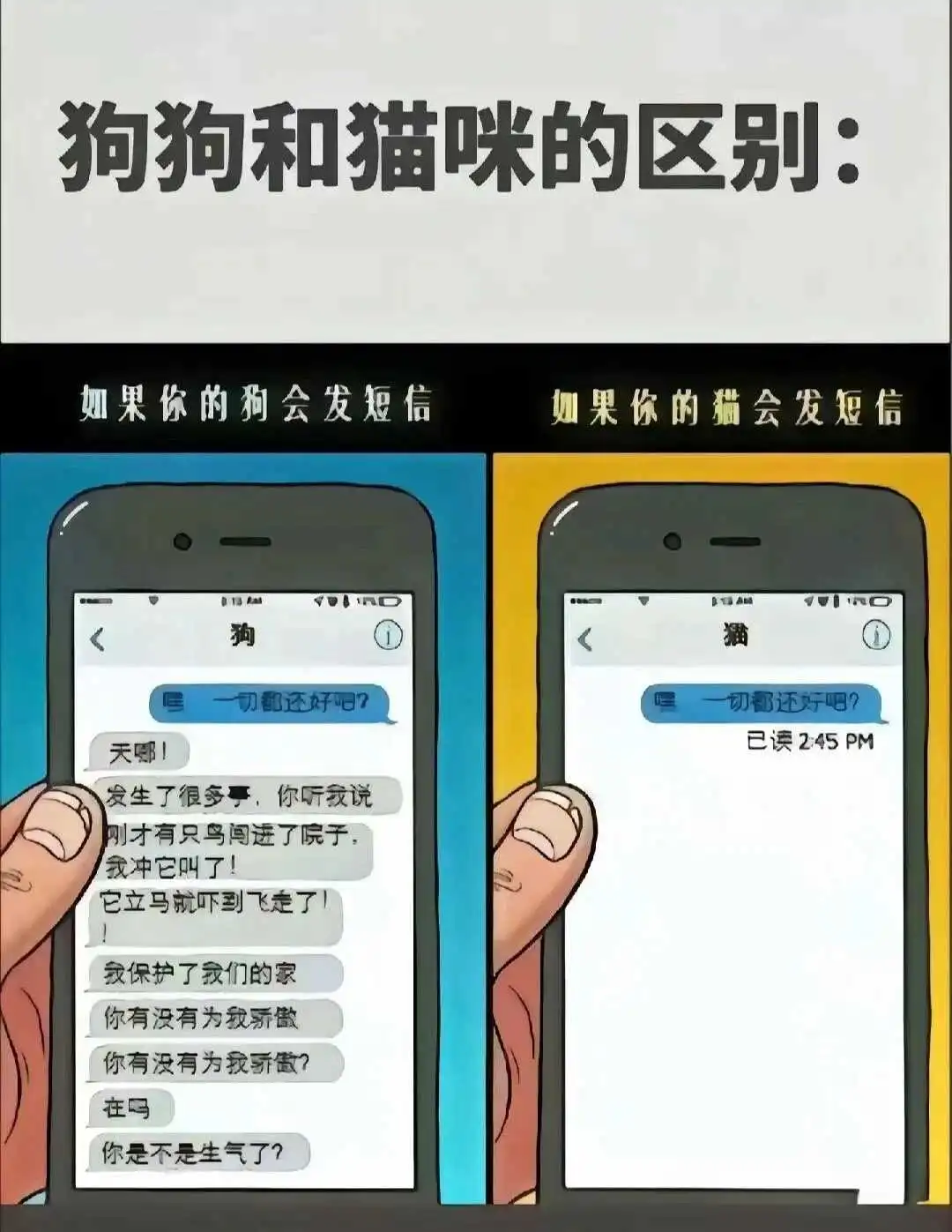 西檬之家字母圈的大圈是什么?新人的全面指南 一