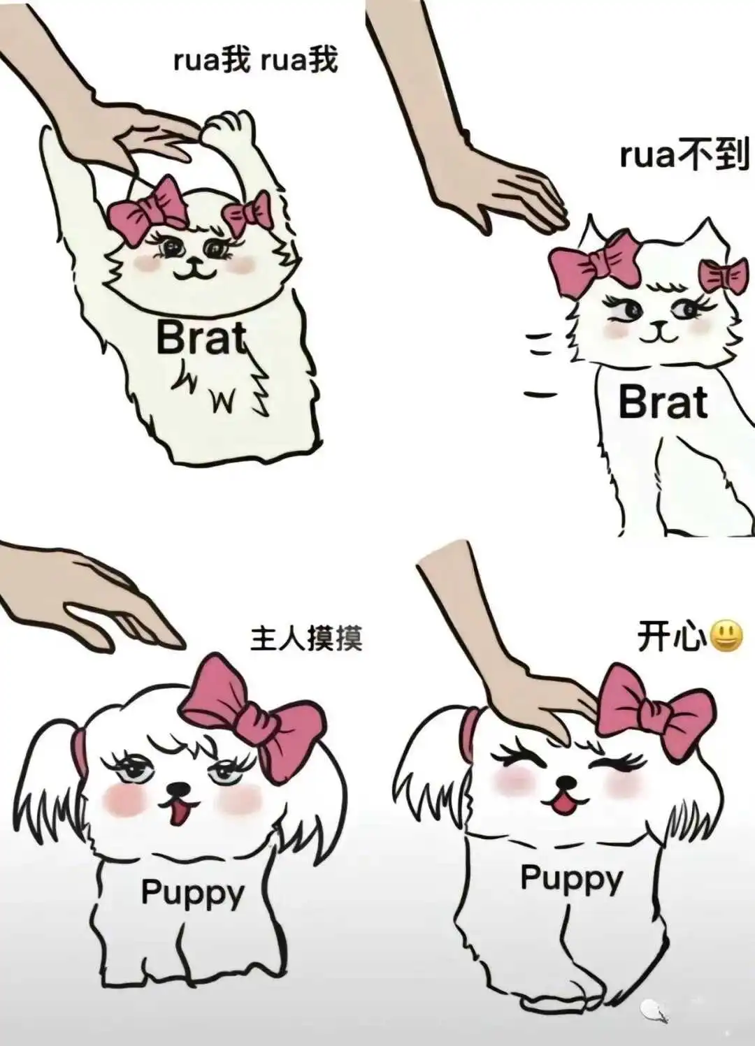 西檬之家brat属性是什么?字母圈新手必看指南 一
