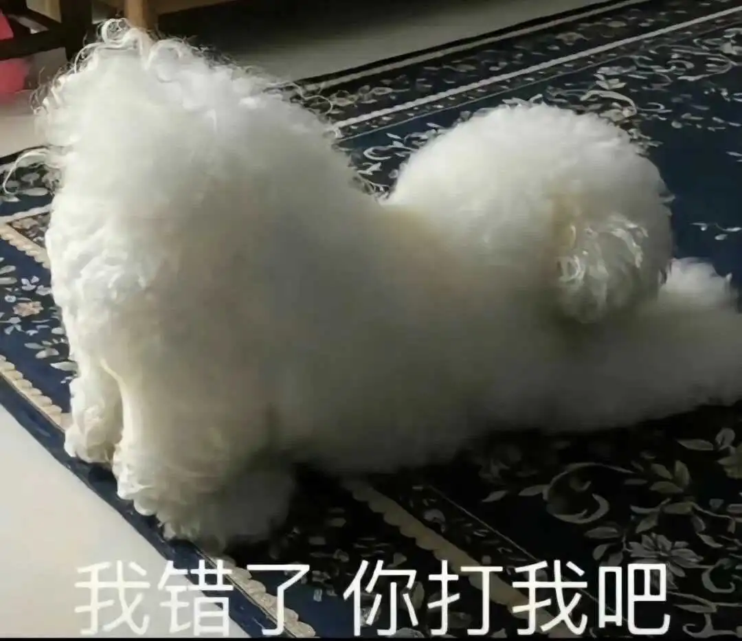 西檬之家字母圈Spank入门指南 一