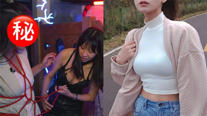 西檬之家brat属性是什么?你的字母圈属性 一