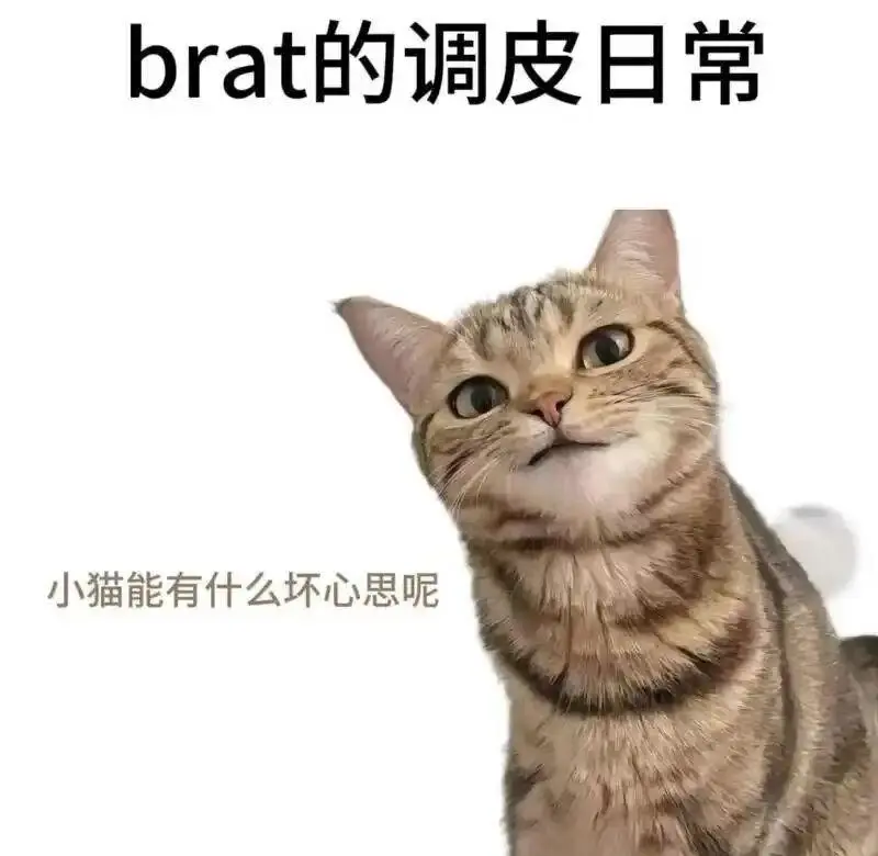 西檬之家如何建立健康的ds关系 一