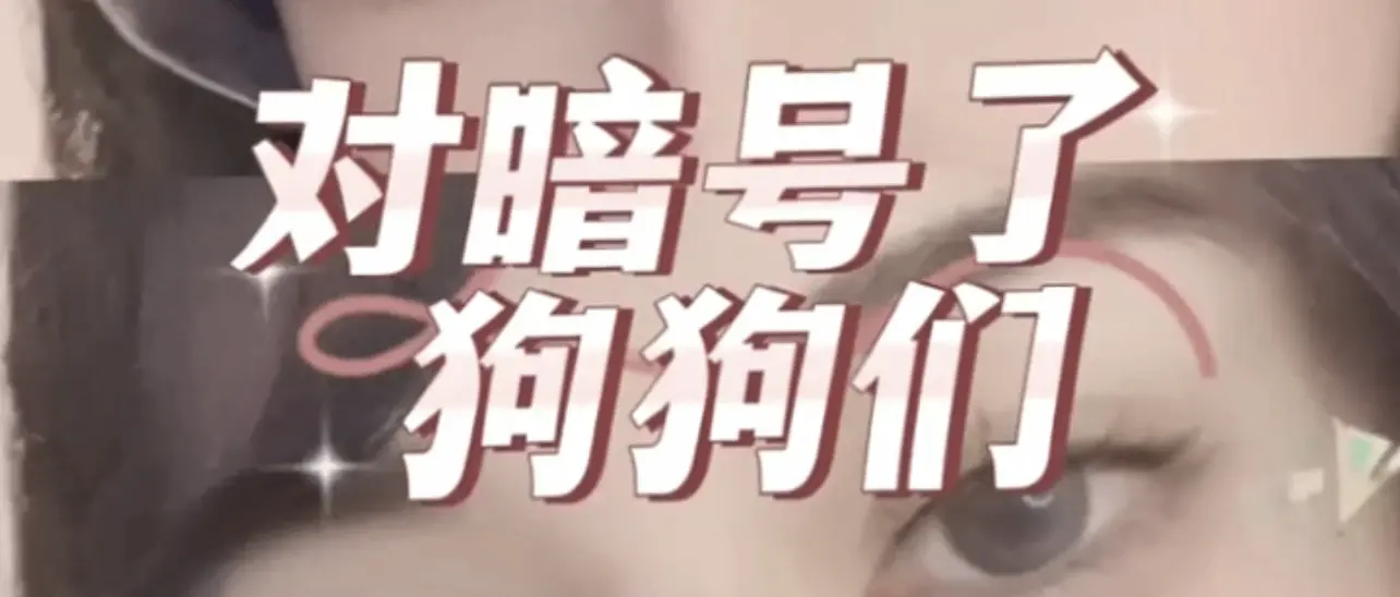 西檬之家s倾向怎么判断?字母圈新人如何识别自身属性 一