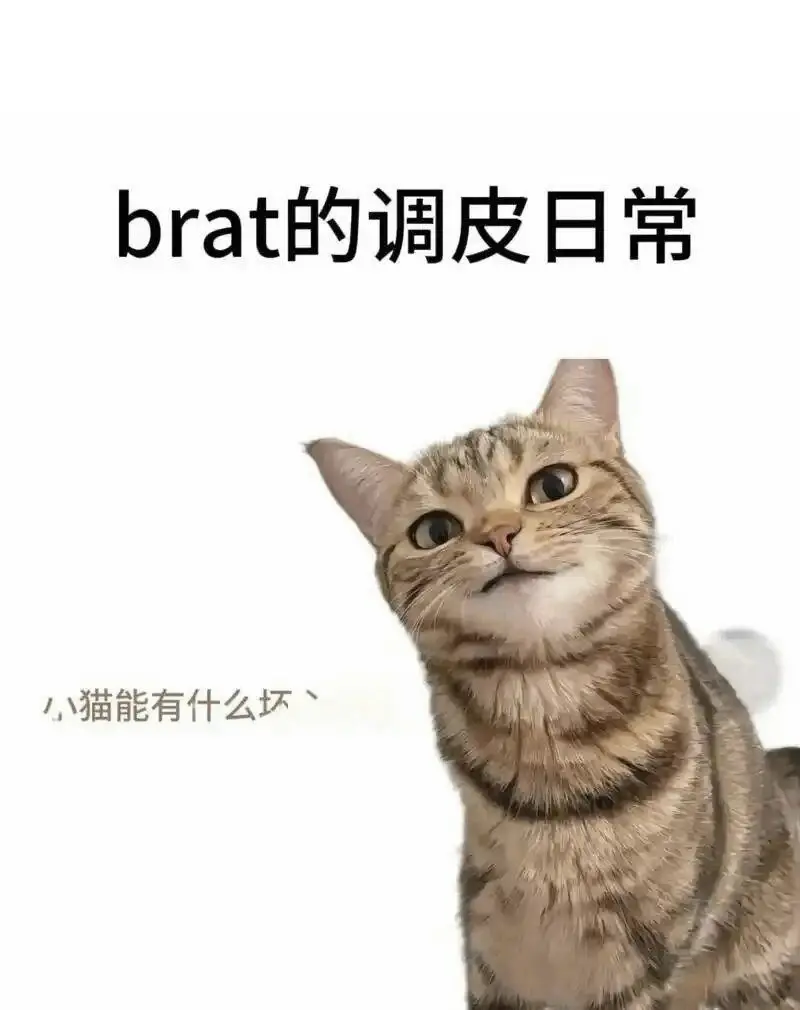 西檬之家字母圈圣水是什么?入圈新人必看 一
