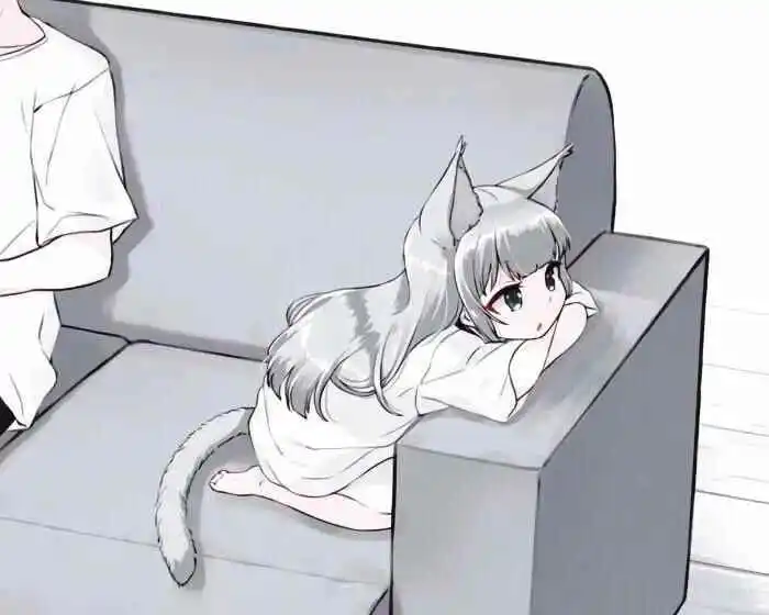 西檬之家如何判断自己是否有s属性? 一
