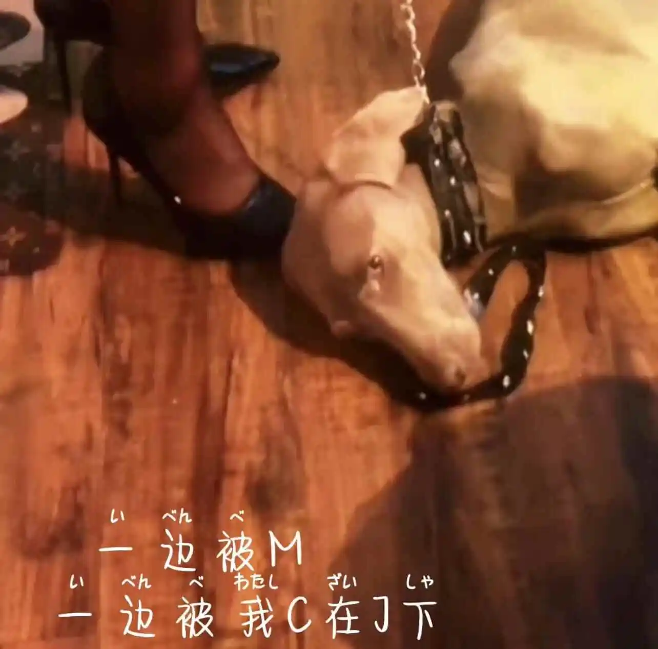 西檬之家字母圈的圣水是什么? 一